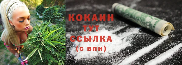 трава Новодвинск