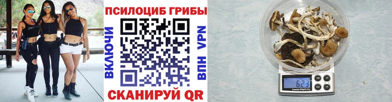 Галлюциногенные грибы MAGIC MUSHROOMS  МЕГА ссылка  Абинск 